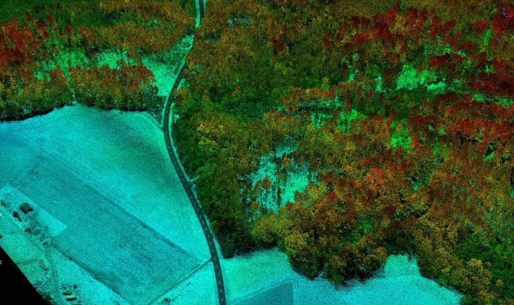 LIDAR field and forest