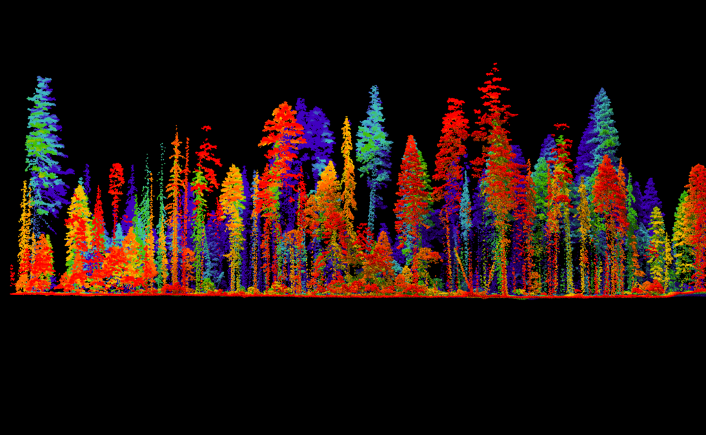 lidar drones forest management