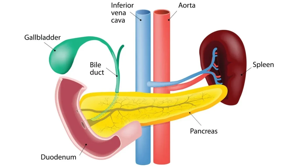 Can gallbladder issues cause weight gain
